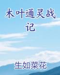 木叶通灵战记