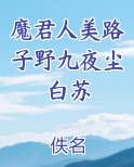 魔君人美路子野九夜尘白苏小说全集
