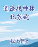 逍遥战神林北苏婉全文免费阅读