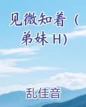 见微知着（弟妹 H）免费小说
