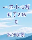 一不小心写到了2060原著小说