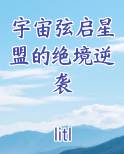 宇宙弦启星盟的绝境逆袭原著小说